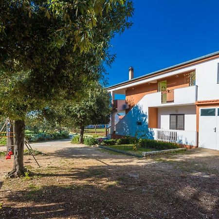 Apartman Ines Bibinje Exterior photo