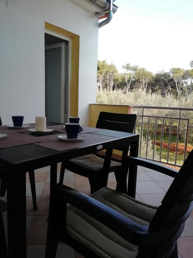 Apartman Ines Bibinje Exterior photo